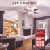 iHaper B2 Smart light bulb（E27）